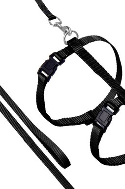 Flamingo f-1031211 - Harnais Réglable pour Chats avec Laisse Robuste