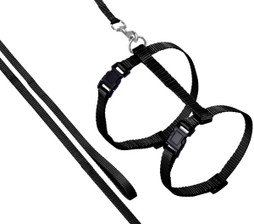Flamingo f-1031211 - Harnais Réglable pour Chats avec Laisse Robuste