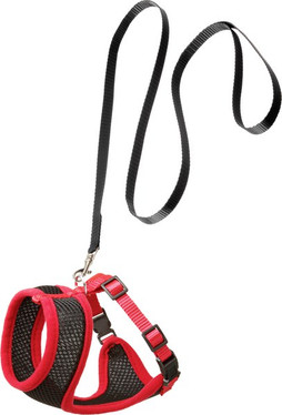 Flamingo f-1031364 - Ensemble Harnais Rouge Ajustable pour Chat