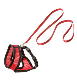 Flamingo f-1031371 - Harnais avec laisse Chaton