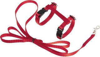 Flamingo f-1031362 - Harnais avec laisse Chaton