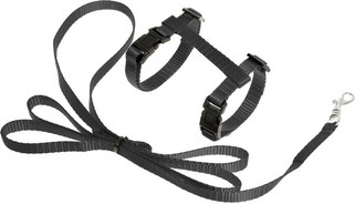 Flamingo f-1031362 - Harnais avec laisse Chaton