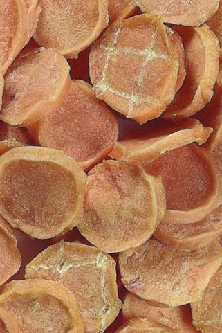 Flamingo f-2010043 - Friandises Chips avec poulet