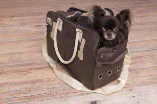 Flamingo f-31415 - Sac de transport foncé