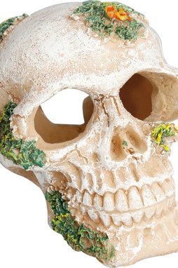 Flamingo f-401130 - Crâne Artistique pour Décoration Intérieure