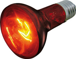 Flamingo f-405734 - Projecteur Infrarouge pour Animaux de Compagnie
