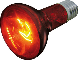 Flamingo f-405734 - Projecteur Infrarouge pour Animaux de Compagnie