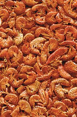 Flamingo f-404034 - Délices Naturels pour Tortues Aquatiques