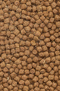 Flamingo f-404023 - Délices Gourmands de la Cuisine Française