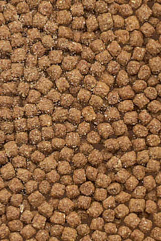 Flamingo f-404023 - Délices Gourmands de la Cuisine Française