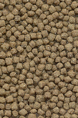 Flamingo f-404029 - Alimentation Complète pour Tortues en Granulés