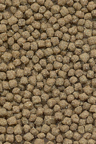 Flamingo f-404029 - Alimentation Complète pour Tortues en Granulés