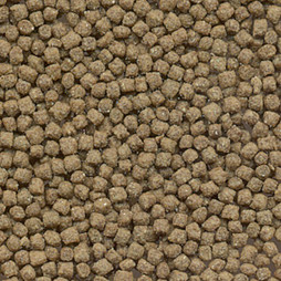 Flamingo f-404029 - Alimentation Complète pour Tortues en Granulés