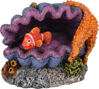 Flamingo f-410147 - Décoration Coquille Poisson