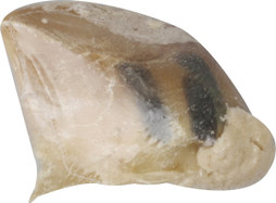 Flamingo f-507904 - Friandises Sabot de veau avec graisse de mouton & Dextrose