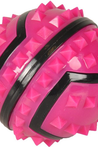Flamingo f-518202 - Balle Ludique Fuchsia pour Chiens Dynamiques
