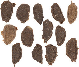 Flamingo f-518635 - Friandises Filet avec Boeuf