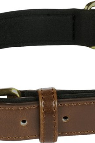 Flamingo f-519368 - Collier Avec neoprène