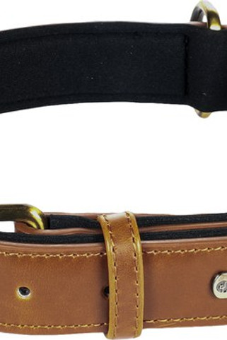 Flamingo f-519357 - Collier Avec neoprène Cognac