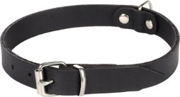 Flamingo f-5302054 - Collier Élégant Rondo pour Chiens de Toutes Tailles