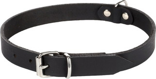 Flamingo f-5302064 - Collier Élégant Rondo pour Chiens de Toutes Tailles