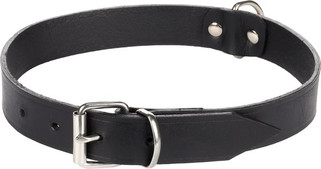 Flamingo f-5302074 - Collier en Cuir Noir avec Détails Chromés