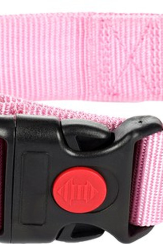 Flamingo f-5363920 - Collier Sécurité Ziggi pour Animaux