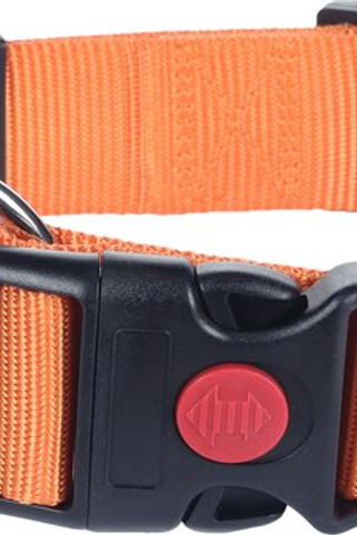 Flamingo f-5363920 - Collier Sécurité Ziggi pour Animaux