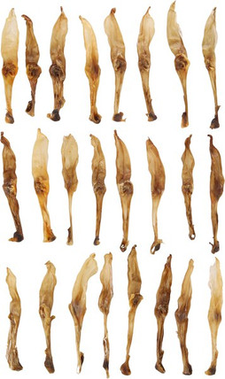 Flamingo f-519605 - Friandises Oreille de lapin
