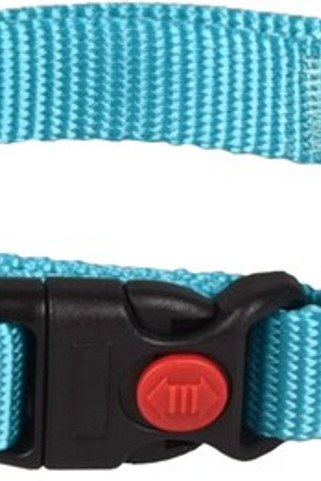 Flamingo f-519870 - Collier Réglable Turquoise pour Chiens