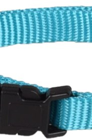 Flamingo f-519869 - Collier Réglable Turquoise pour Chiens