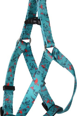 Flamingo f-520104 - Harnais Vert Flamant pour Chiens avec Système Click