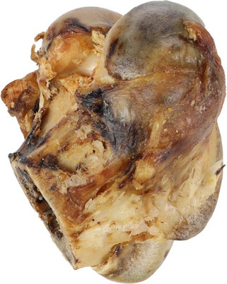 Flamingo f-519630 - Friandises Os du tibia