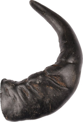 Flamingo f-519624 - Friandises Corne de buffle