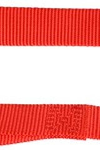 Flamingo f-520679 - Ziggi Durable Red Nylon Dog Leash with Snap Hook