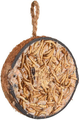 Flamingo f-110379 - Coconut Mealworm Bird Snack for Garden Birds