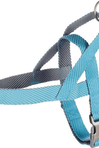 Flamingo f-521152 - Harnais Confort Élite pour Chiens Actifs