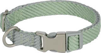 Flamingo f-521161 - Collier Éclatant pour Chiens et Chiots