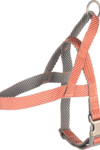 Flamingo f-521191 - Harnais Noors saumon