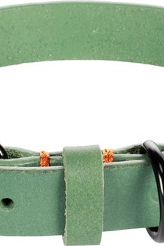 Flamingo f-521255 - Collier Leano en Cuir Vert et Orange pour Chiens