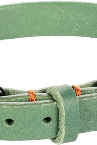 Flamingo f-521253 - Collier Leano Vert en Cuir pour Chiens Élégants