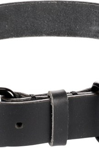 Flamingo f-521248 - Collier en Cuir Leano pour Chiens Robustes