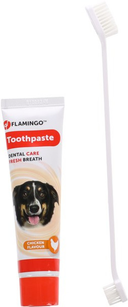 Flamingo f-521236 - Dentifrice & Brosse à dents Tube
