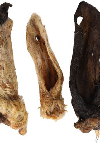 Flamingo f-521232 - Friandises Oreille de chèvre