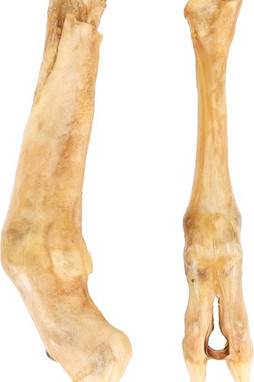 Flamingo f-521226 - Friandises Pied de mouton