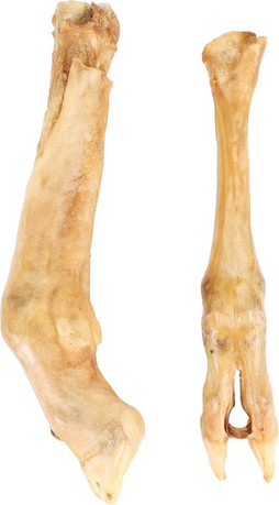 Flamingo f-521226 - Friandises Pied de mouton