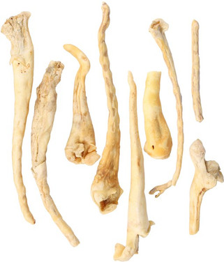 Flamingo f-521222 - Friandises Queue de mouton