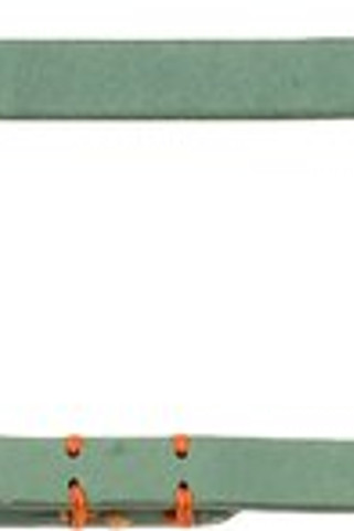 Flamingo f-521260 - Laisse Verte en Cuir Leano pour Chiens