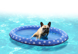 Flamingo f-521369 - Lit Flottant pour Chiens Amateurs de Natation