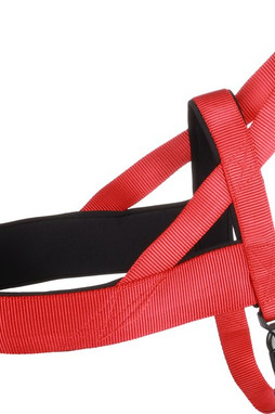 Flamingo f-521438 - Harnais Confortable Abbi Rouge pour Chiens Actifs